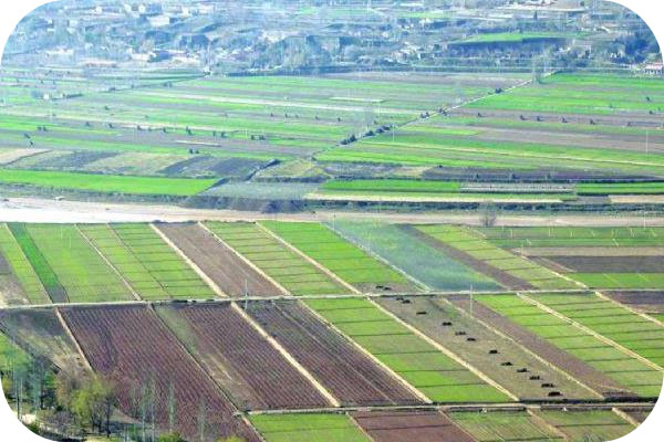 惠州市惠城區橫瀝鎮高標準農田建設項目